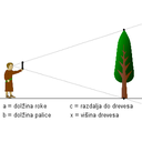 visina drevesa 2.png<>Prva slika